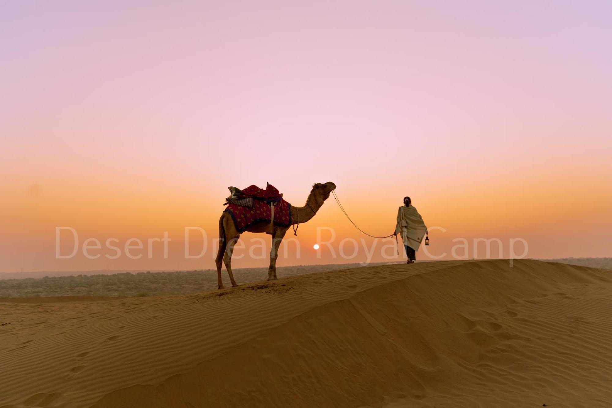 Desert Dream Royal Camp With Pool Hotel Jaisalmer Exterior photo
